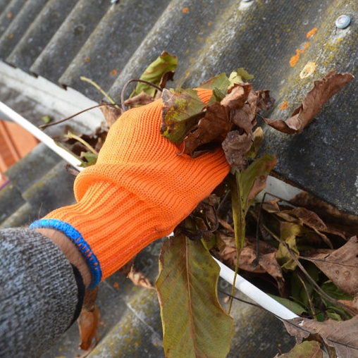 gutter system with leaves