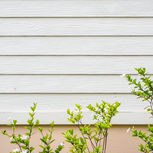 Plants in Front of Hardie Board Siding