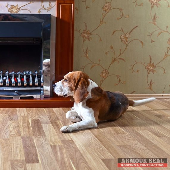 A dog enjoying the hardwood floor