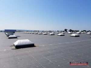 Black Membrane Roof with Many Skylights