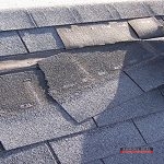 Shingle Roof Replacement